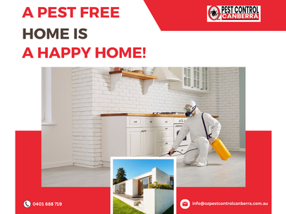 Canberra Pest Control Experts