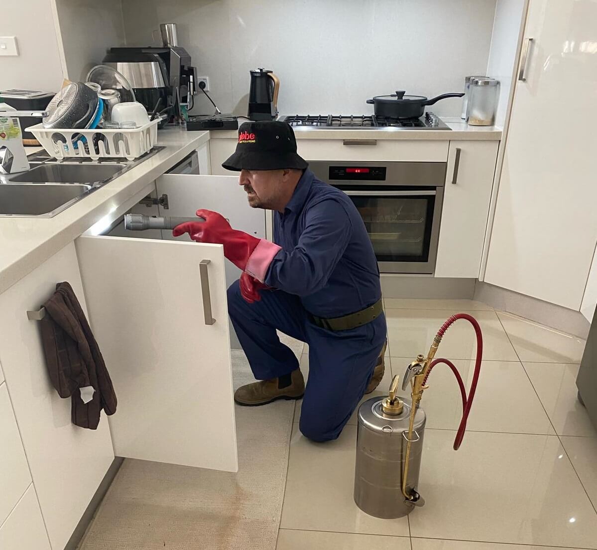 Canberra Pest Control & Inspection
